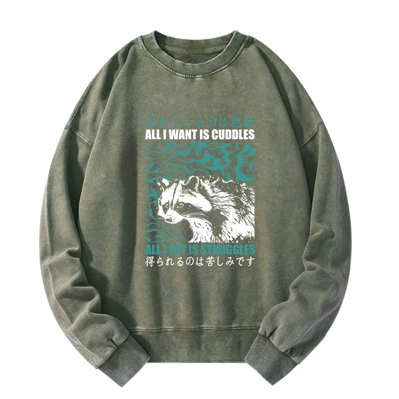 All I Get Is Struggles Washed Sweatshirt