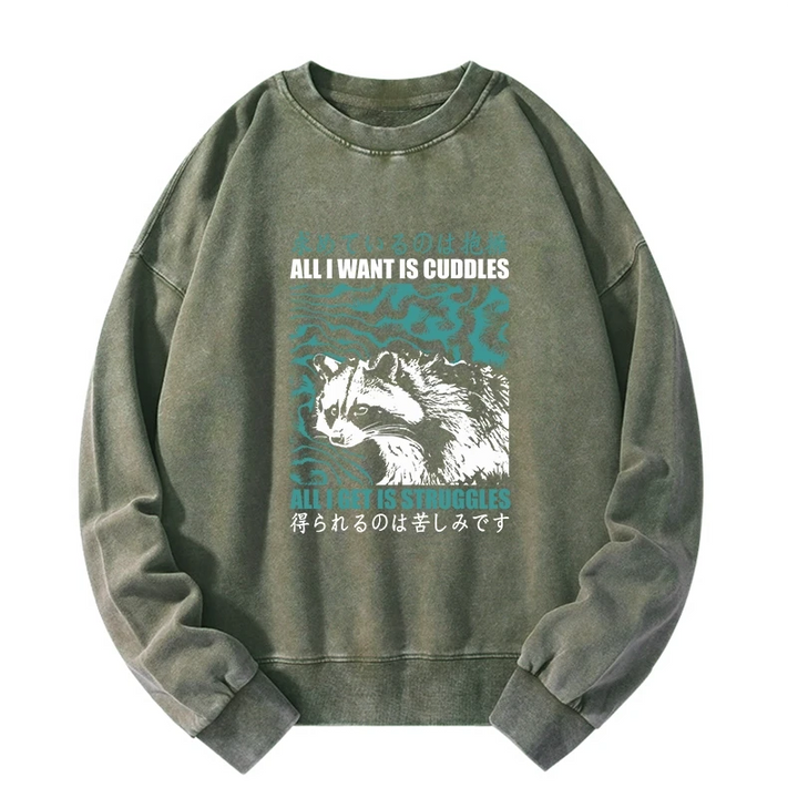 All I Get Is Struggles Washed Sweatshirt