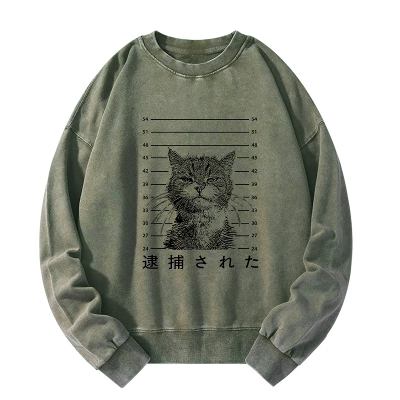 Cat That Was Arrested Washed Sweatshirt