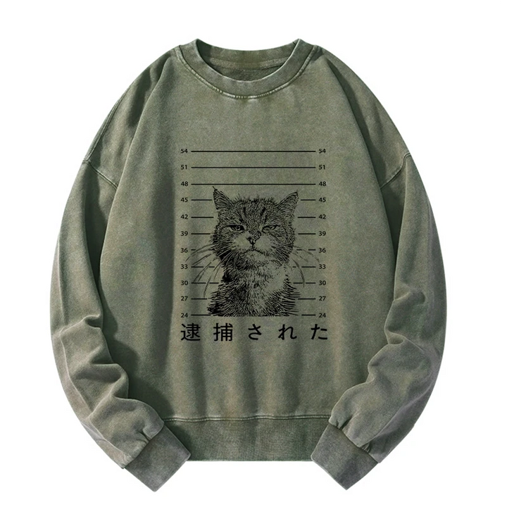 Cat That Was Arrested Washed Sweatshirt