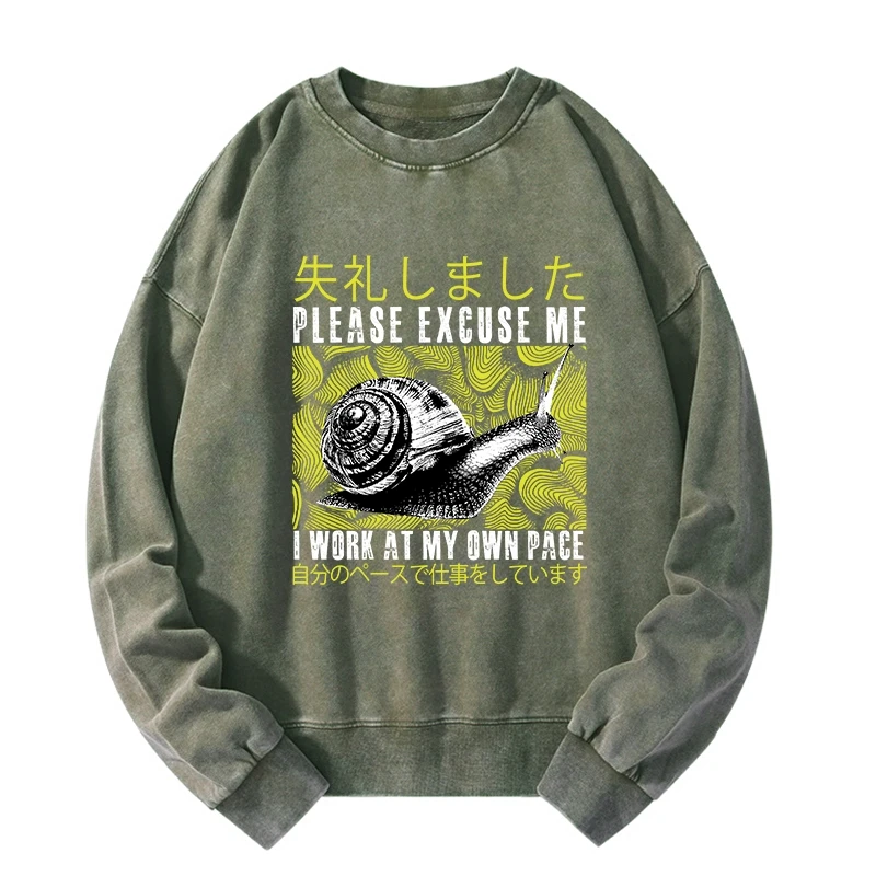 Snails That Work According To Their Own Rules Washed Sweatshirt