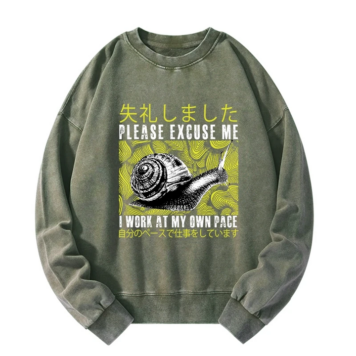 Snails That Work According To Their Own Rules Washed Sweatshirt