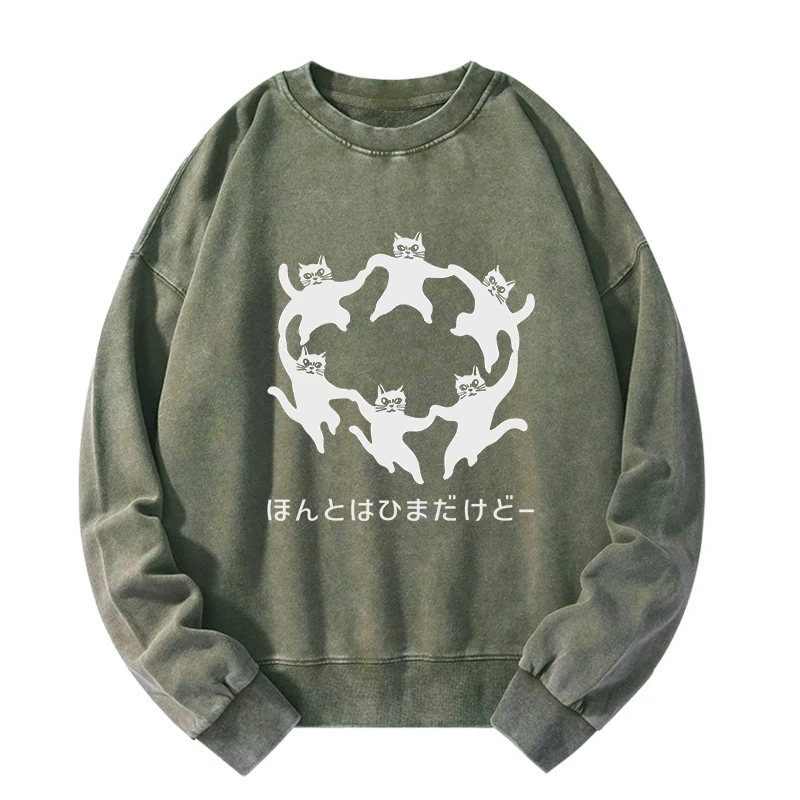 Leisure Cats Japanese Washed Sweatshirt