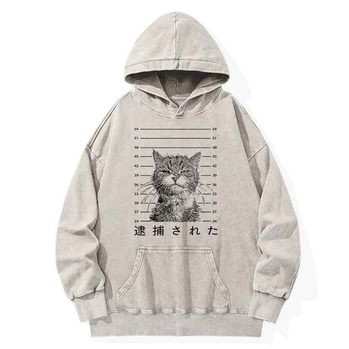 Cat That Was Arrested Washed Hoodie