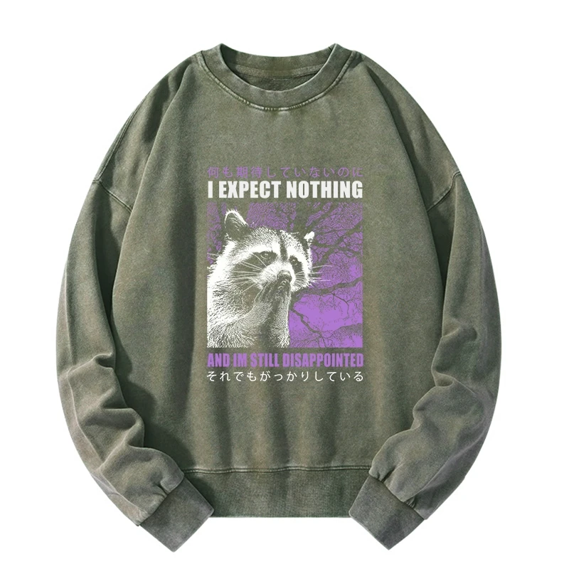 Disappointed Raccoon Japanese Washed Sweatshirt