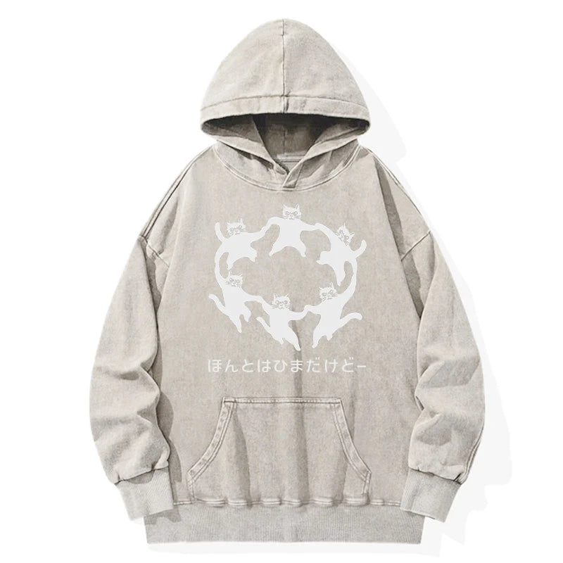 Leisure Cats Japanese Washed Hoodie