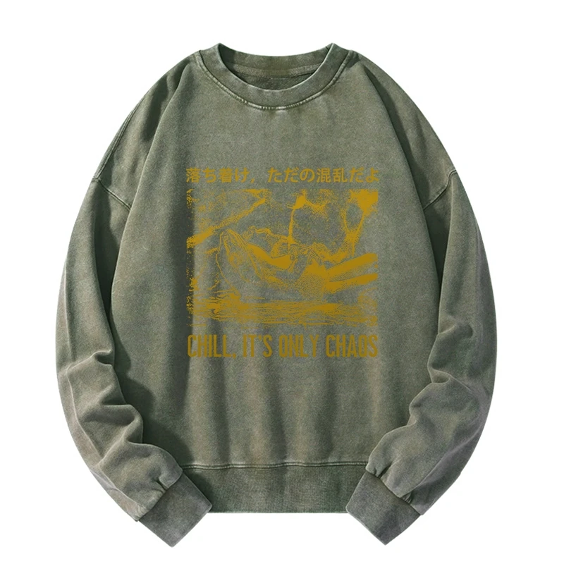 Cool Frog Japanese Washed Sweatshirt
