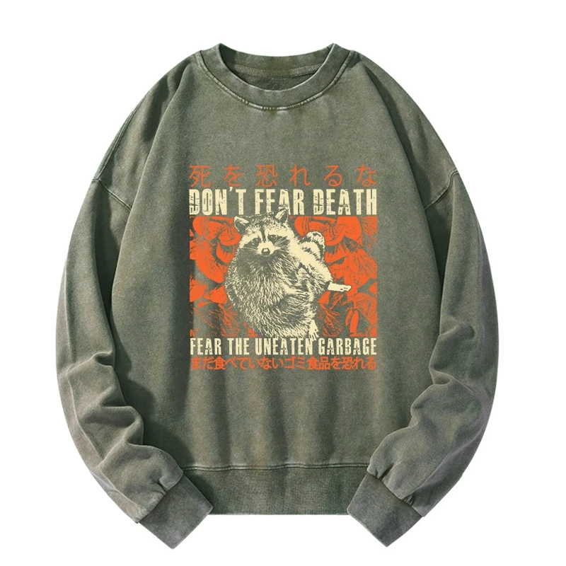 Timid Raccoon Japanese Washed Sweatshirt