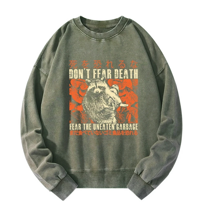 Timid Raccoon Japanese Washed Sweatshirt