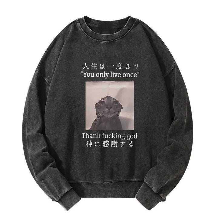 Funny Melancholy Cat Washed Sweatshirt