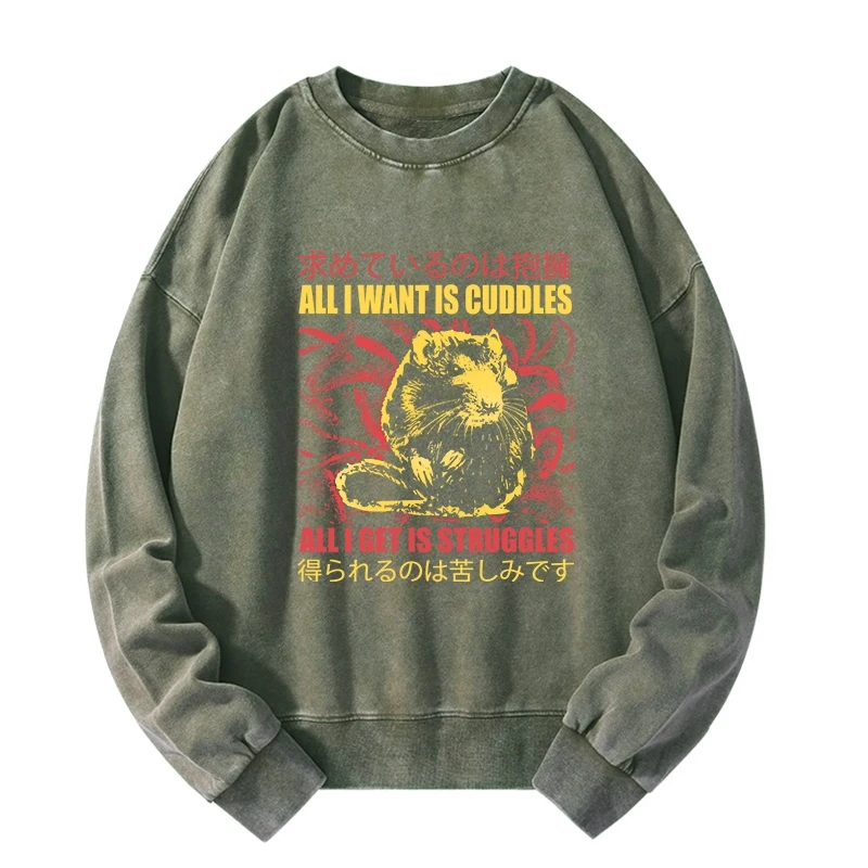All I Want Is Cuddles Washed Sweatshirt