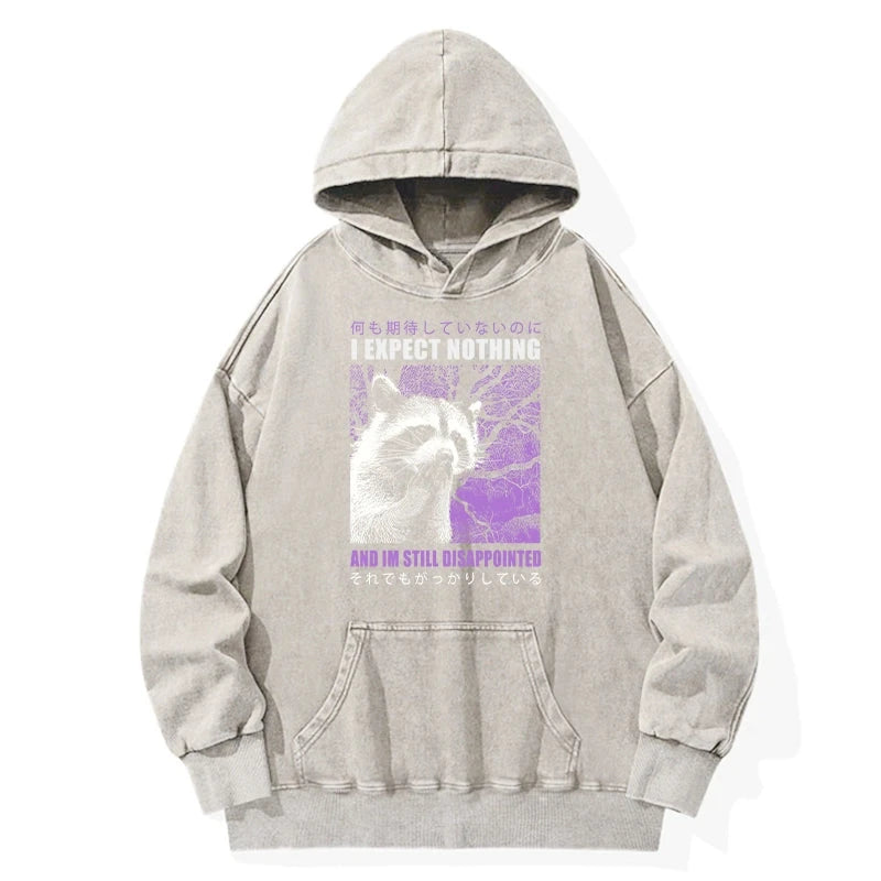 Disappointed Raccoon Japanese Washed Hoodie