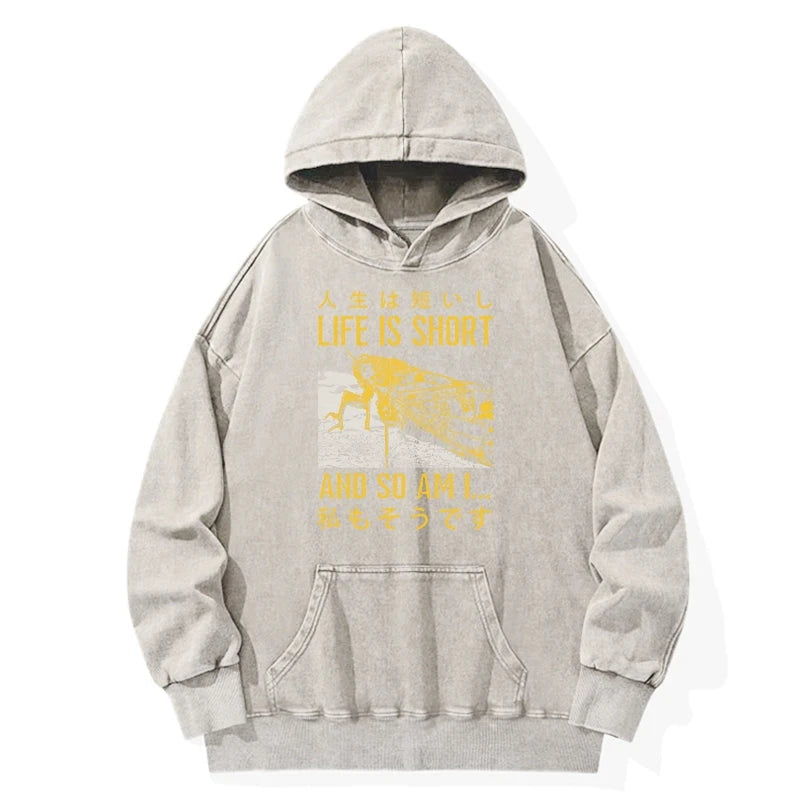 A Grasshopper With A Short Life Washed Hoodie