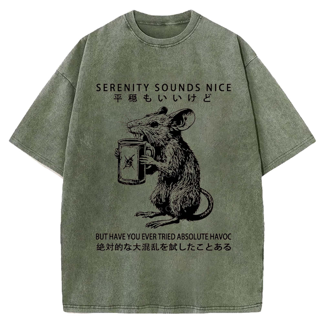 SERENITY SOUNDS NICE Washed Crew Neck T-Shirt