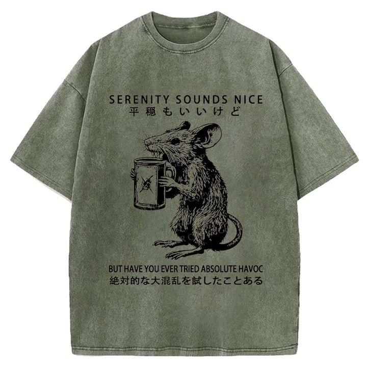 SERENITY SOUNDS NICE Washed Crew Neck T-Shirt