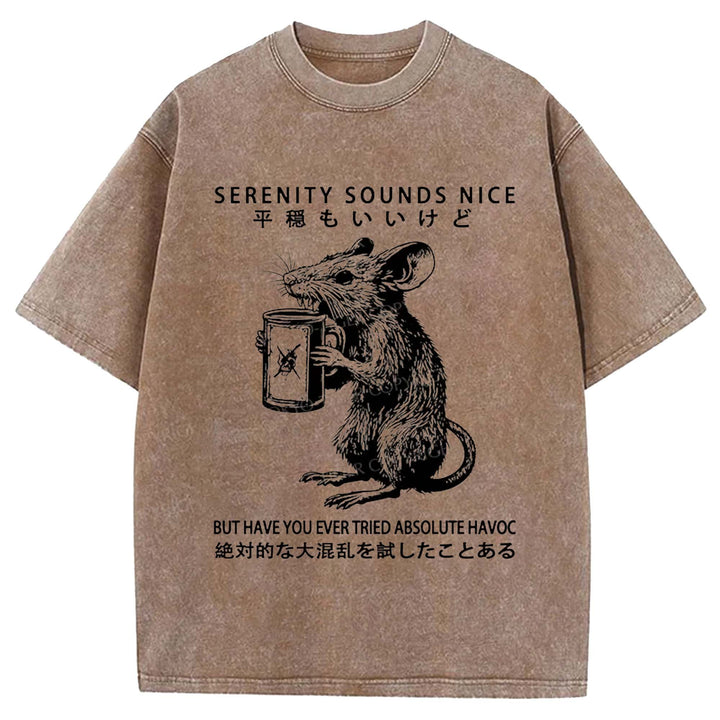SERENITY SOUNDS NICE Washed Crew Neck T-Shirt