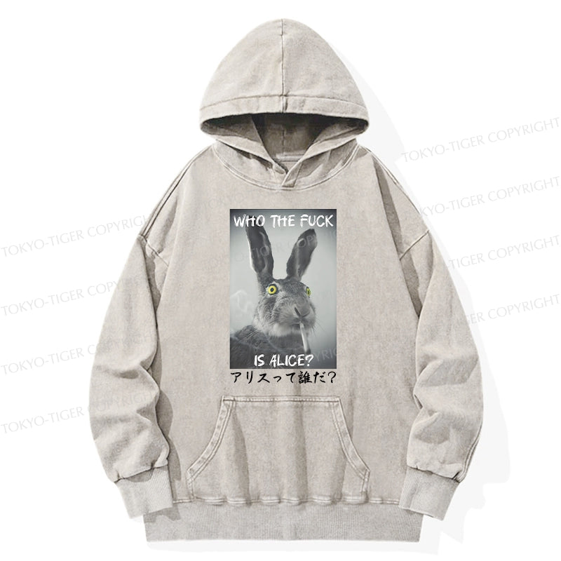 Who Is Alice? Washed Hoodie