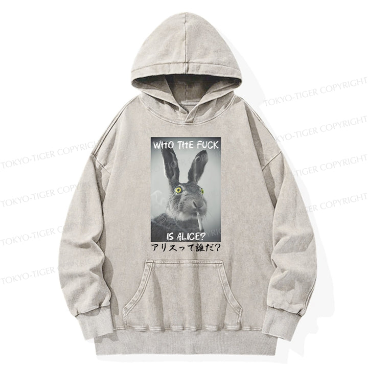 Who Is Alice? Washed Hoodie