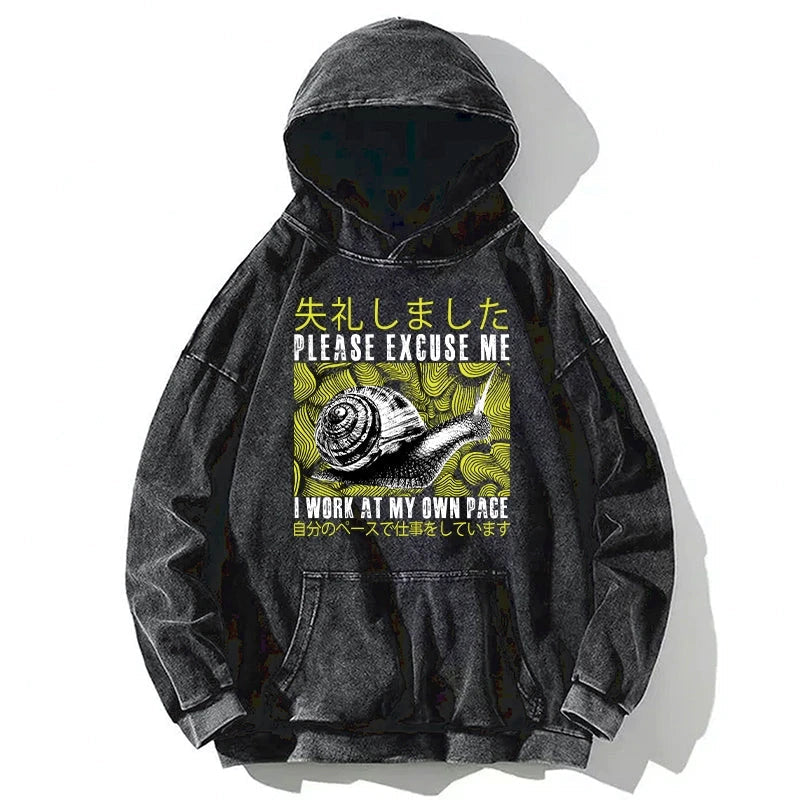 Snails That Work According To Their Own Rules Washed Hoodie