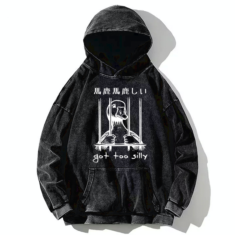 Got Too Silly Washed Hoodie