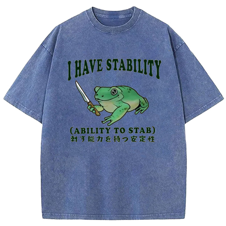 I HAVE STABILITY Washed Crew Neck T-shirt