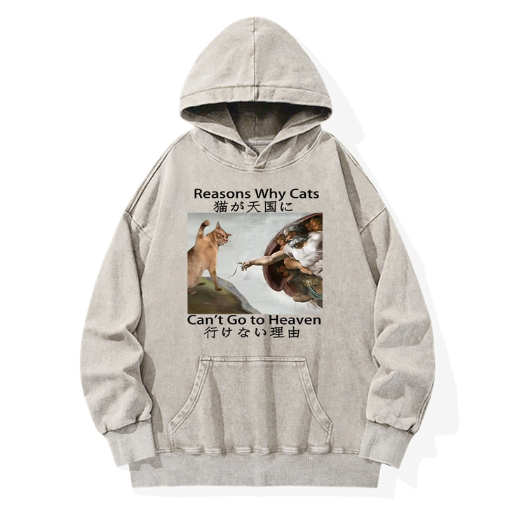 Naughty Cat Can't Go To Heaven Washed Hoodie
