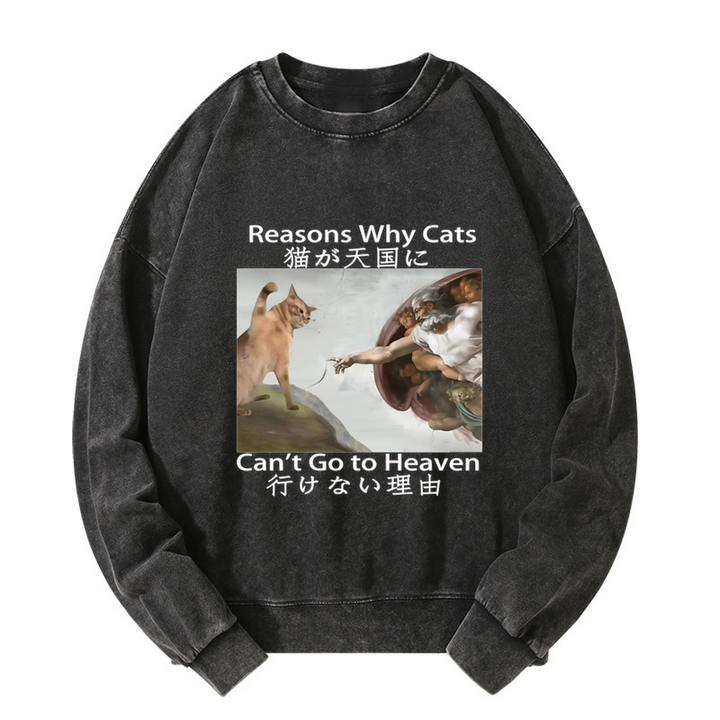 Naughty Cat Can't Go To Heaven Washed Sweatshirt