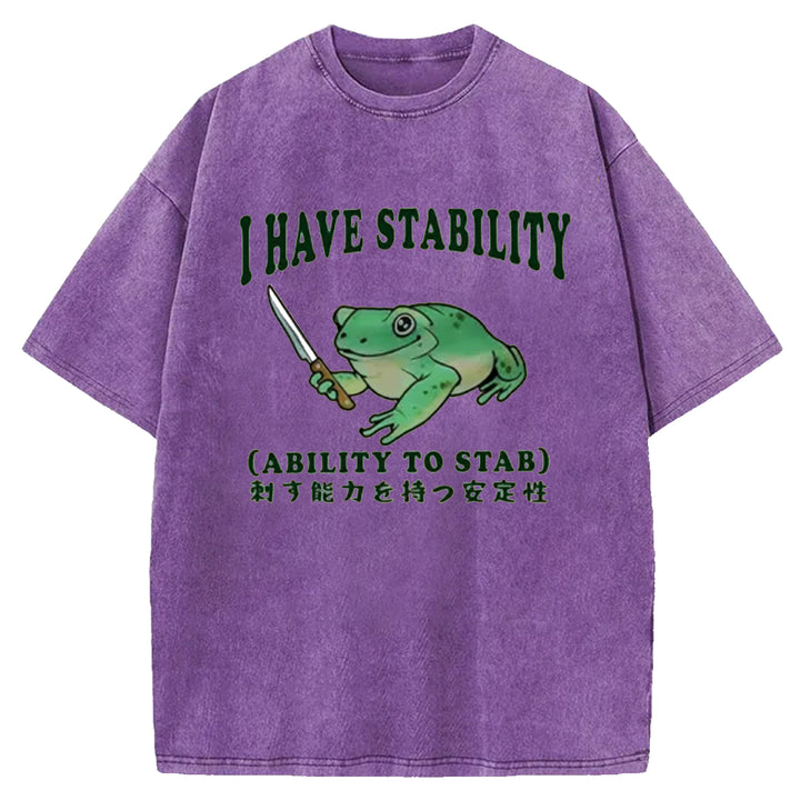 I HAVE STABILITY Washed Crew Neck T-shirt