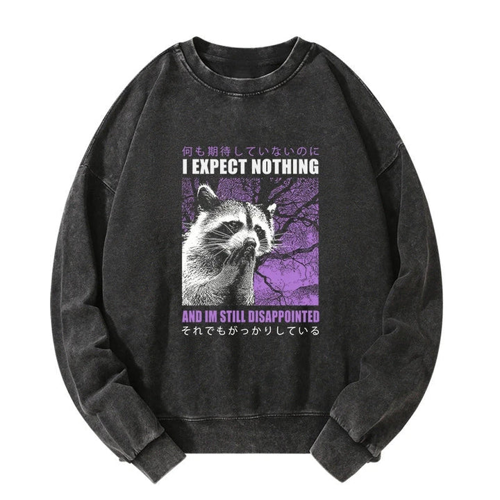 Disappointed Raccoon Japanese Washed Sweatshirt