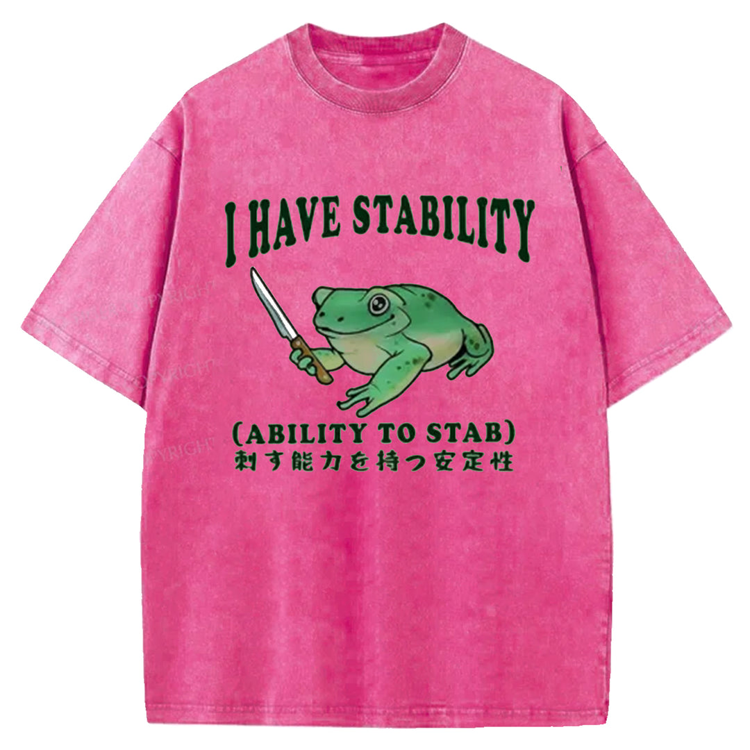 I HAVE STABILITY Washed Crew Neck T-shirt