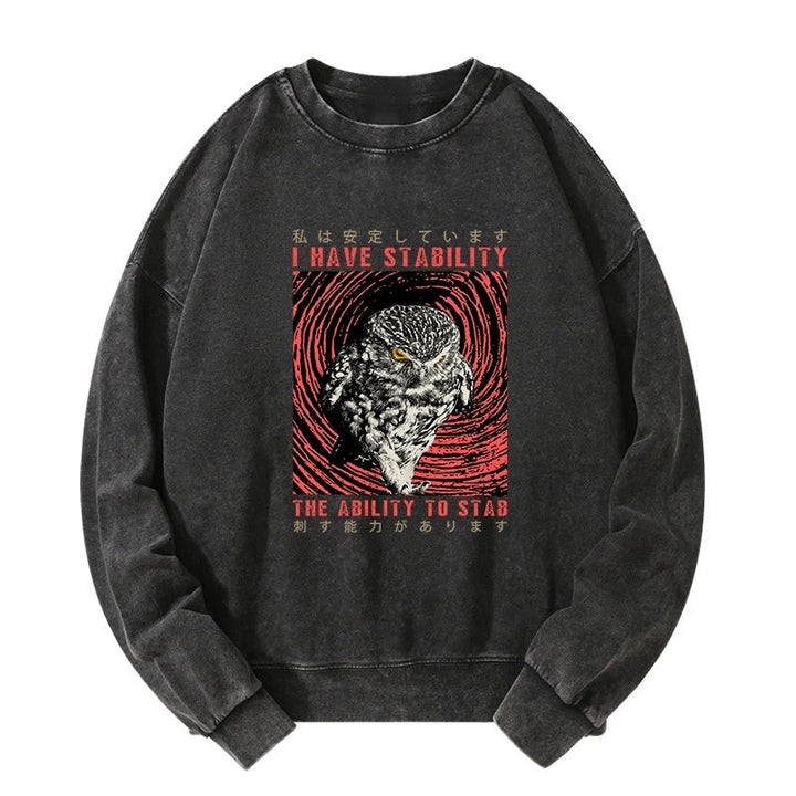 I Have Stability Owl Washed Sweatshirt
