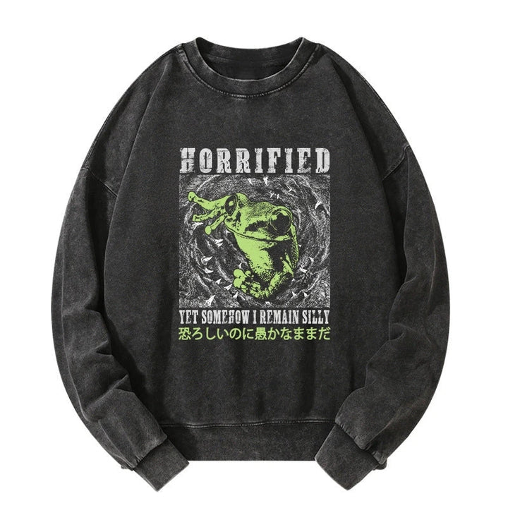 Silly Frog Japanese Washed Sweatshirt