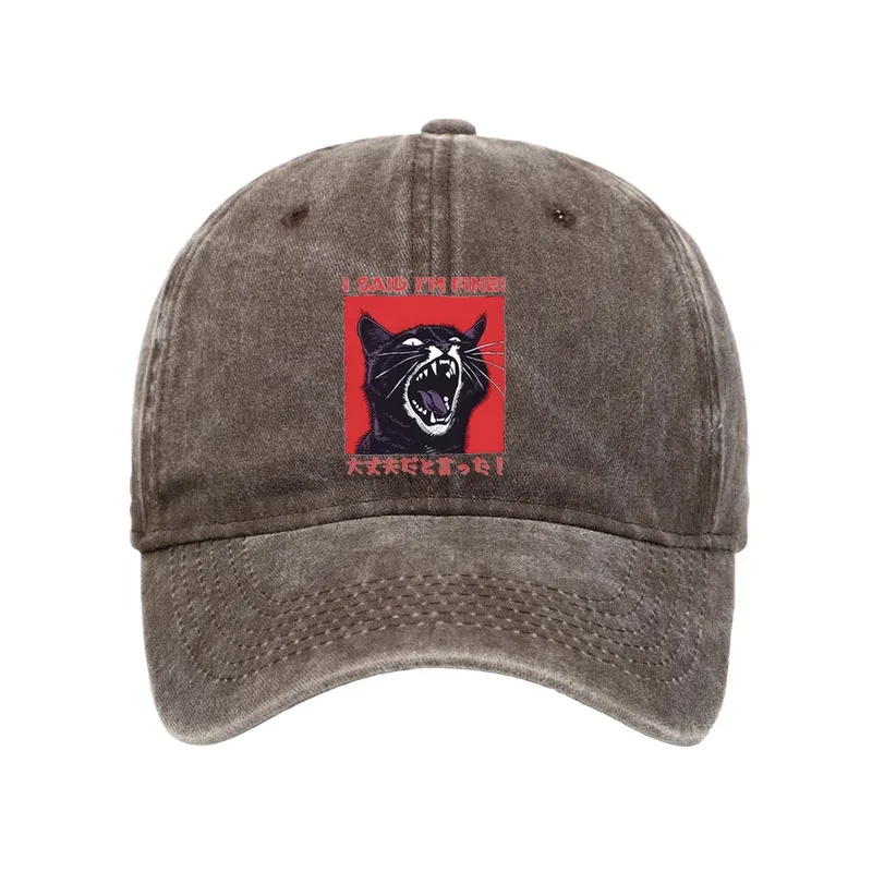 Angry Cat Japan Washed Cap