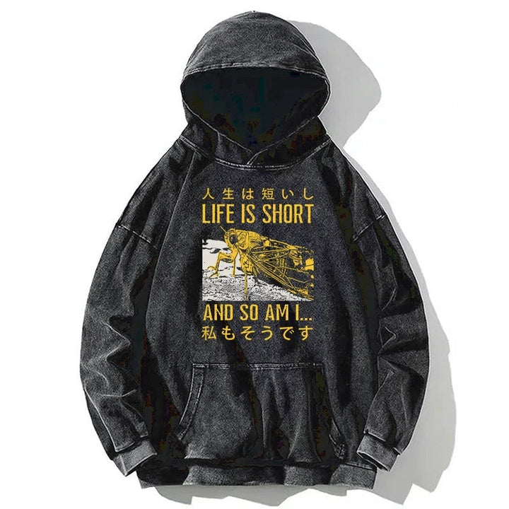 A Grasshopper With A Short Life Washed Hoodie