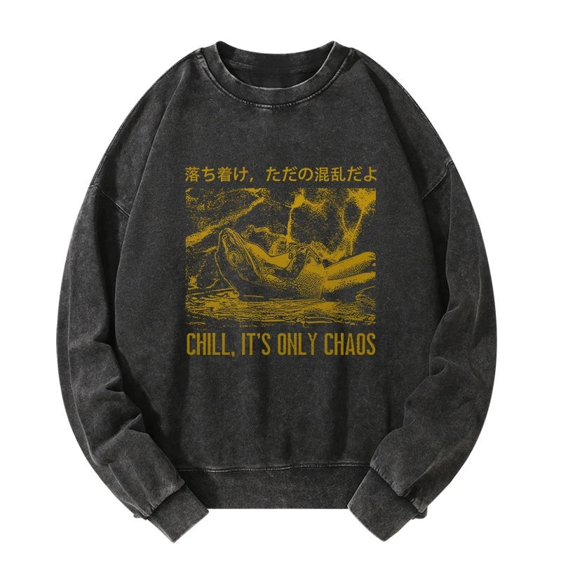 Cool Frog Japanese Washed Sweatshirt