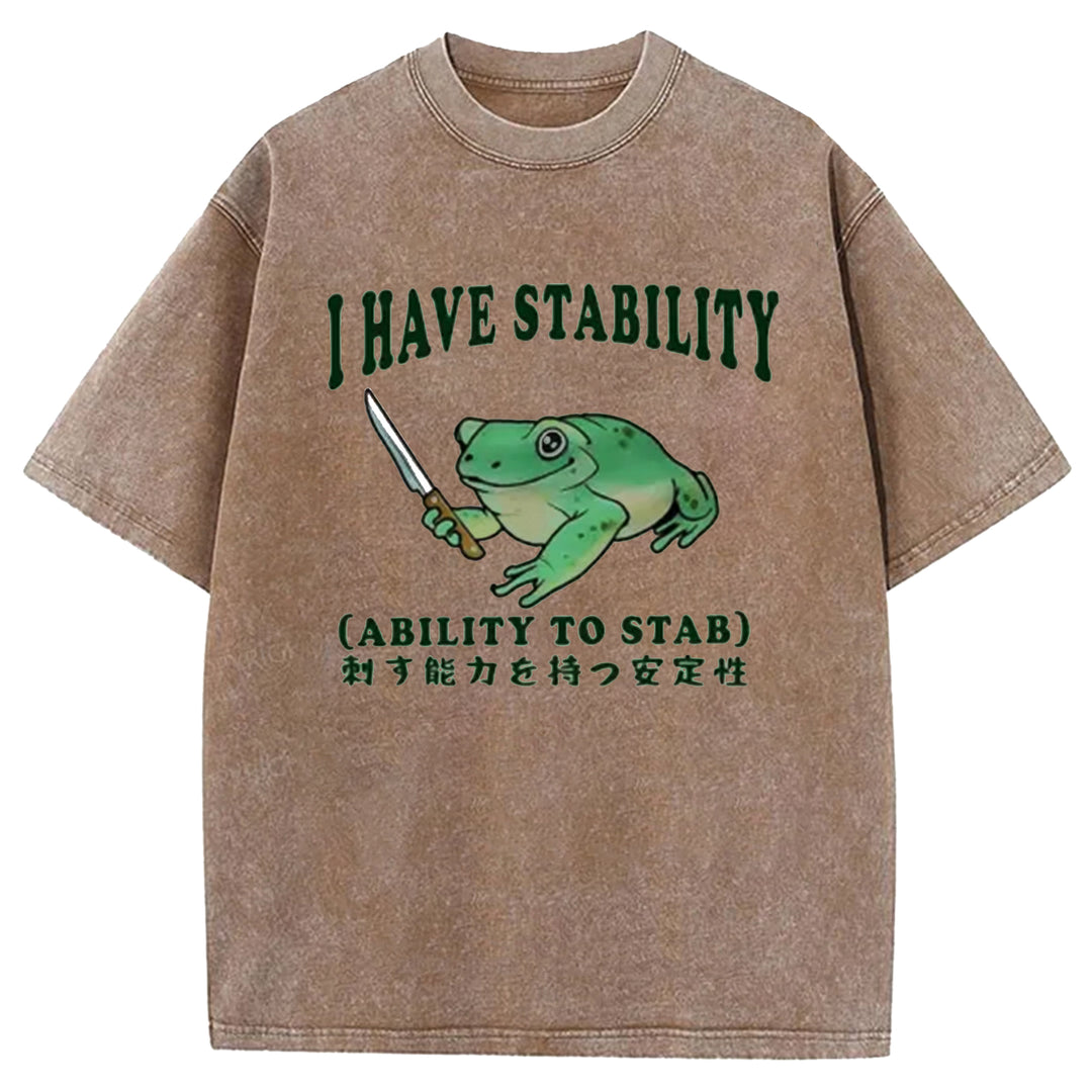 I HAVE STABILITY Washed Crew Neck T-shirt