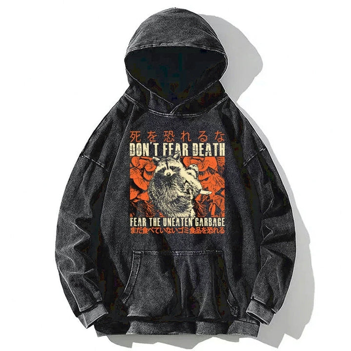 Timid Raccoon Japanese Washed Hoodie
