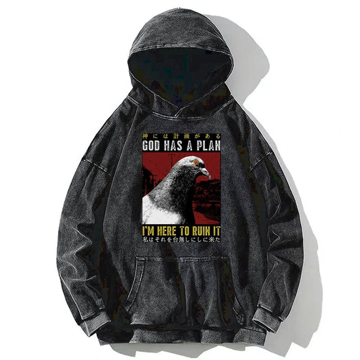 Pigeons That Want To Break The Plan Washed Hoodie
