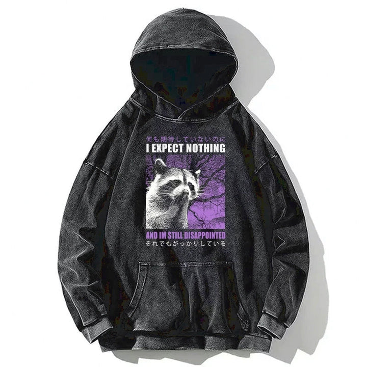 Disappointed Raccoon Japanese Washed Hoodie