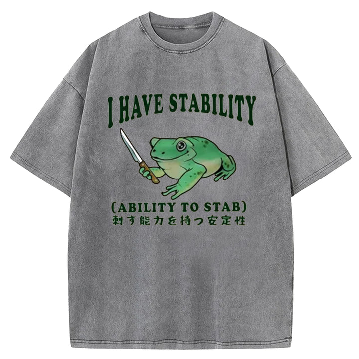 I HAVE STABILITY Washed Crew Neck T-shirt