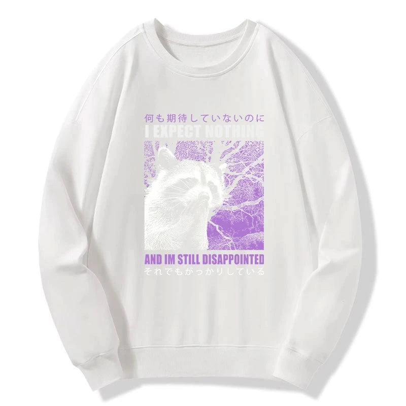 Disappointed Raccoon Japanese Sweatshirt