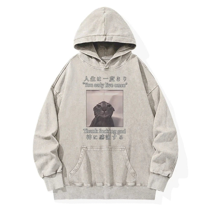 Funny Melancholy Cat Washed Hoodie