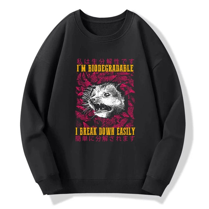 An Easily Breakable Opossum Sweatshirt
