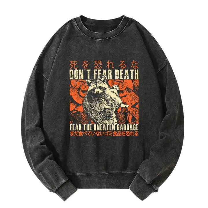Timid Raccoon Japanese Washed Sweatshirt