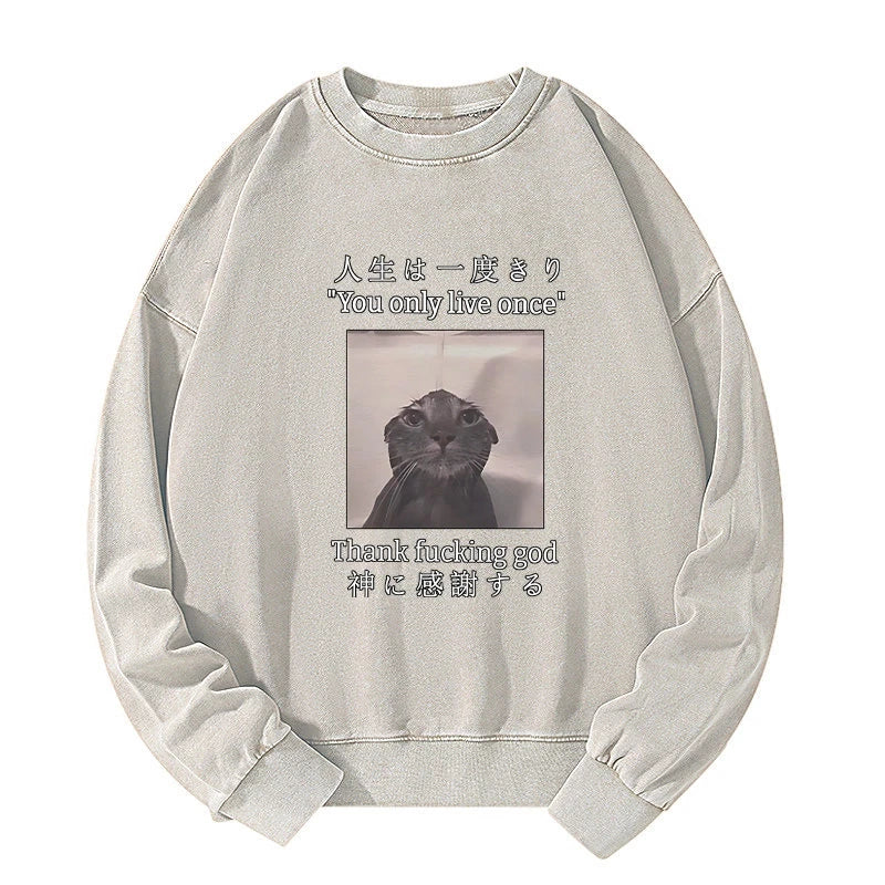 Funny Melancholy Cat Washed Sweatshirt