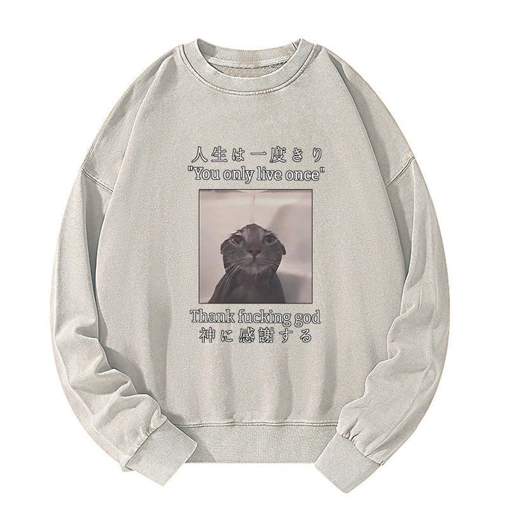 Funny Melancholy Cat Washed Sweatshirt