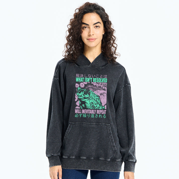 What Ist Resolved Forg Washed Hoodie