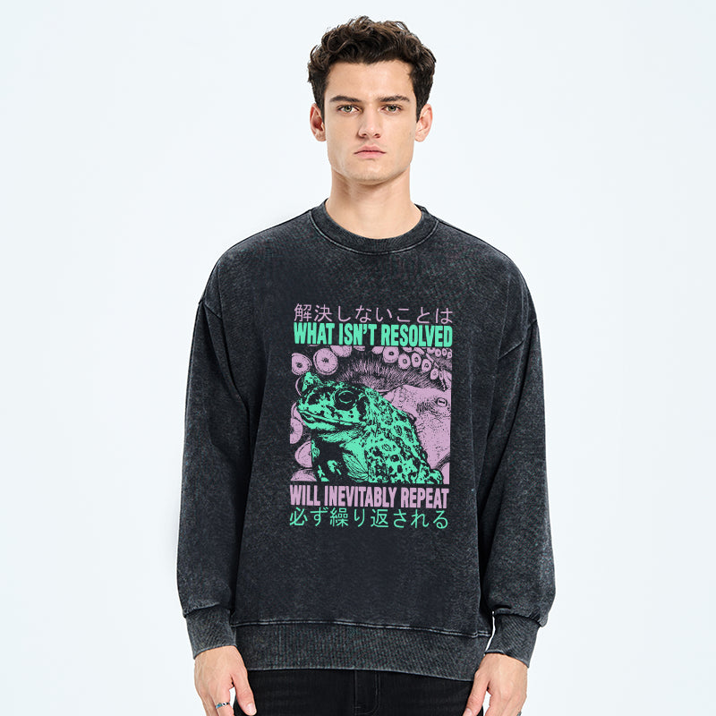 What Ist Resolved Forg Washed Sweatshirt