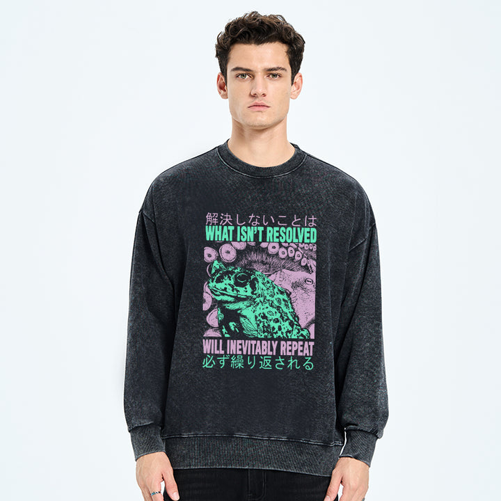 What Ist Resolved Forg Washed Sweatshirt