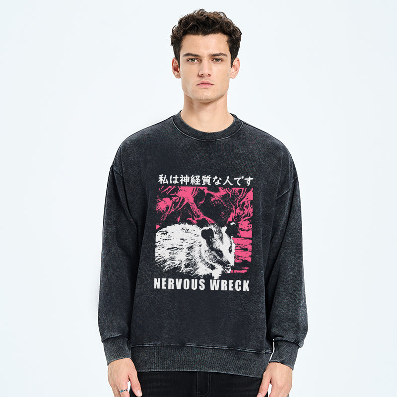 Nervous Wreck Washed Sweatshirt